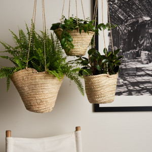 hanging-baskets