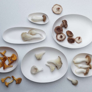 organic-collection