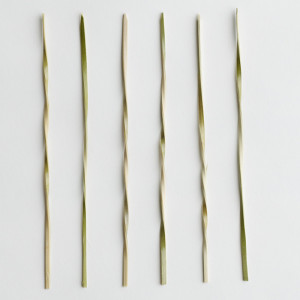 skewer-twist